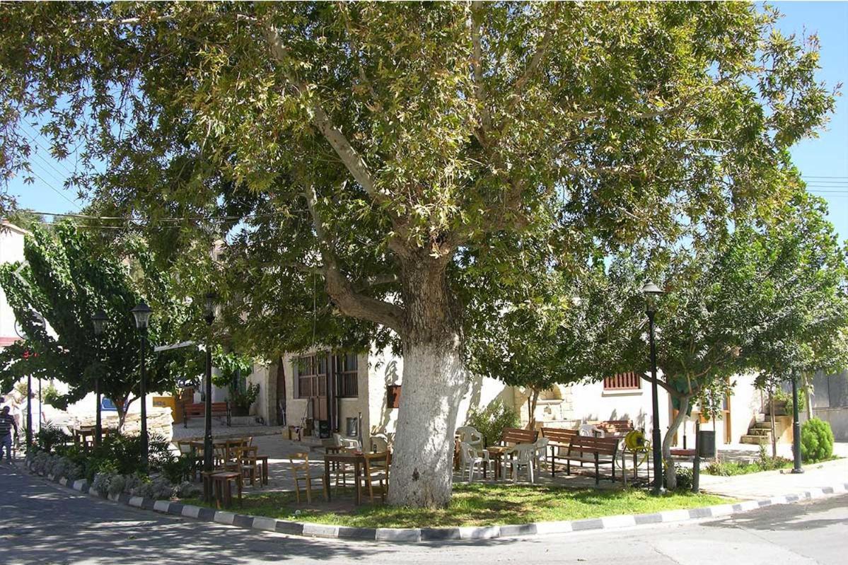 Avalon Village Houses Limasol Dış mekan fotoğraf