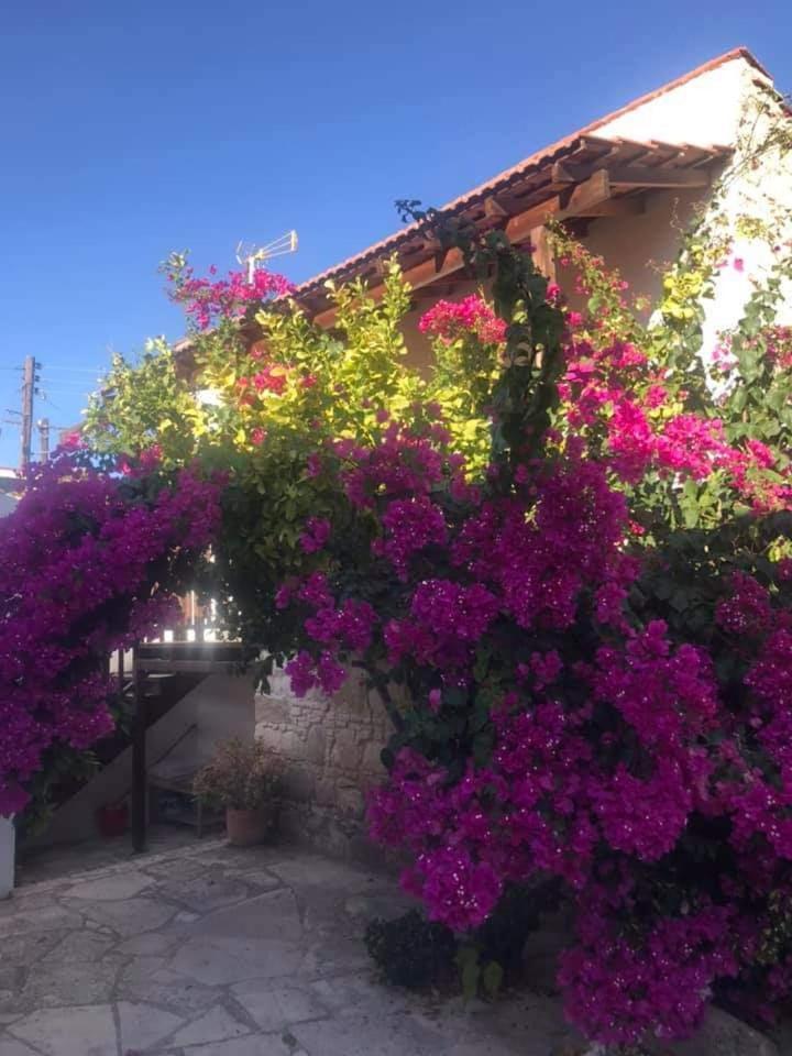 Avalon Village Houses Limasol Dış mekan fotoğraf
