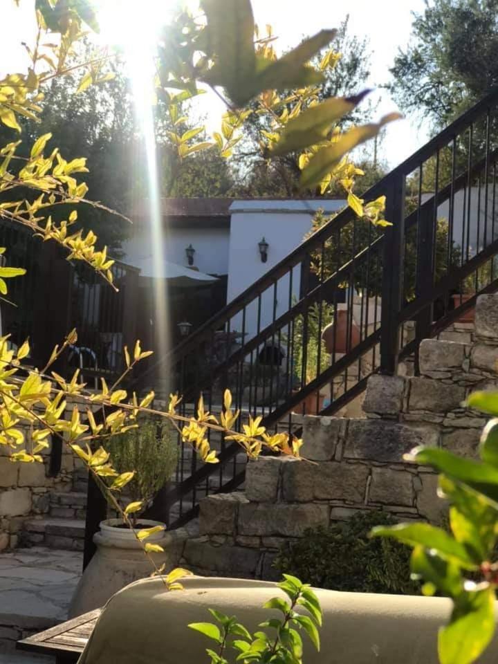 Avalon Village Houses Limasol Dış mekan fotoğraf